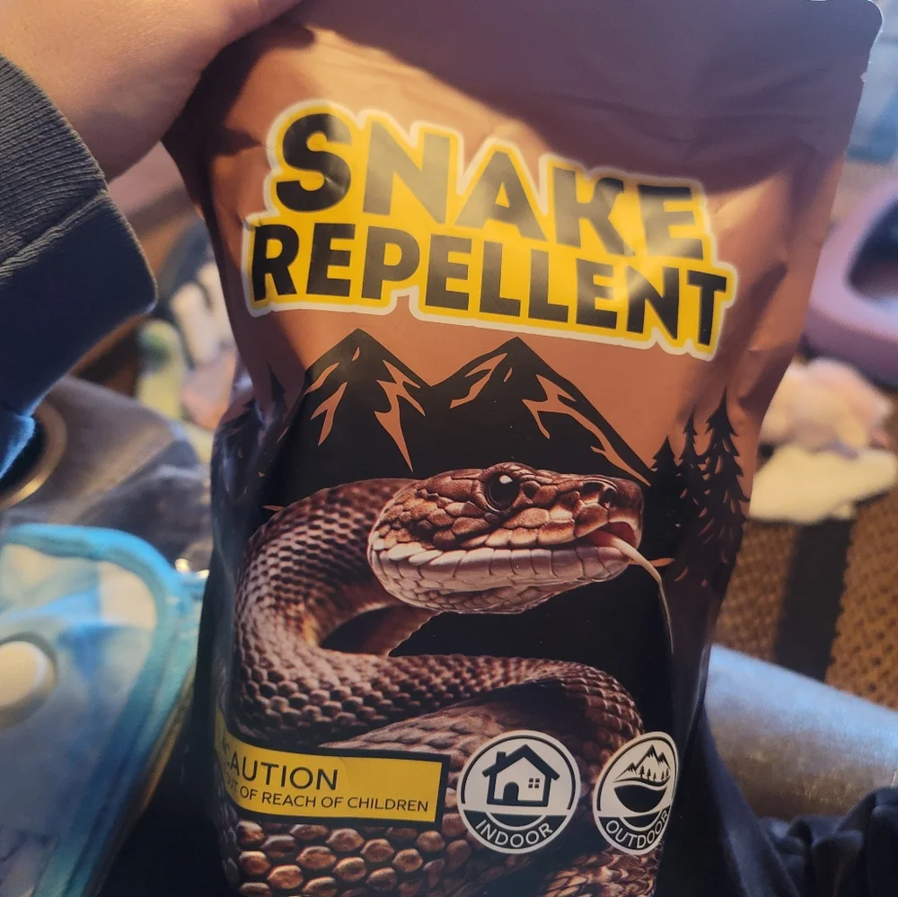 Brown Reptile Habitat Maintenance Essentials